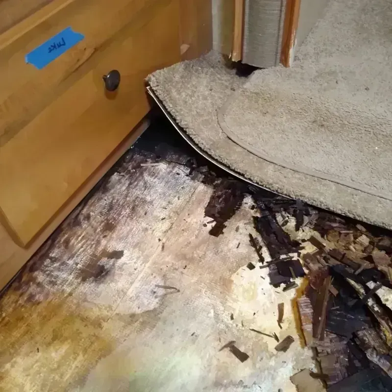 Wood Floor Water Damage in Florence, NJ